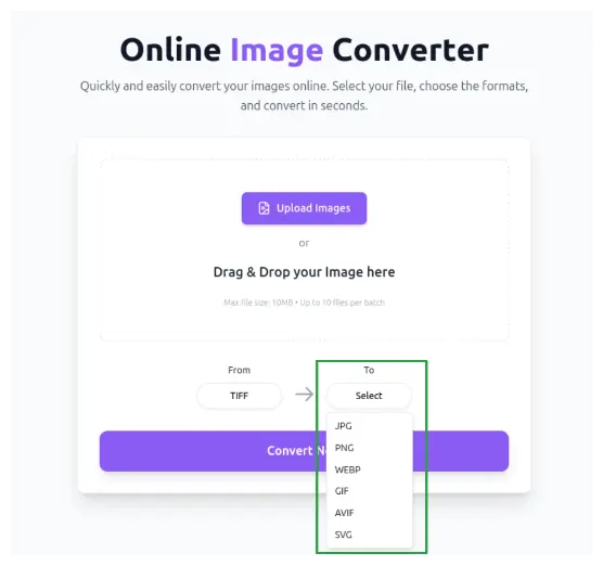 Choose output format for conversion