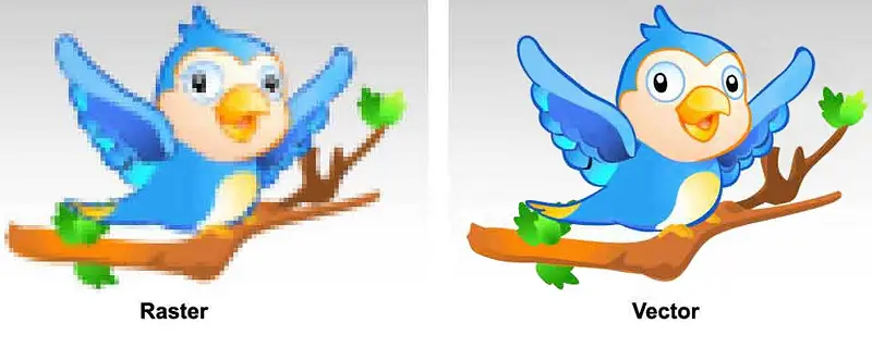 Vector vs Raster comparison graphic